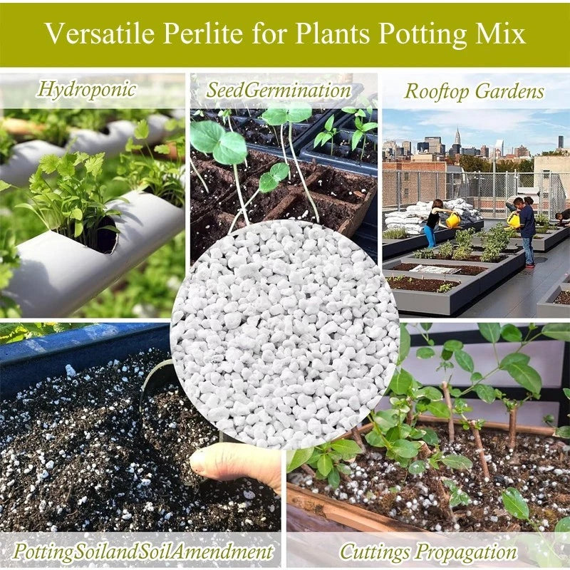 1 quart perlite, suitable for gardening, soil conditioner, and improves drainage