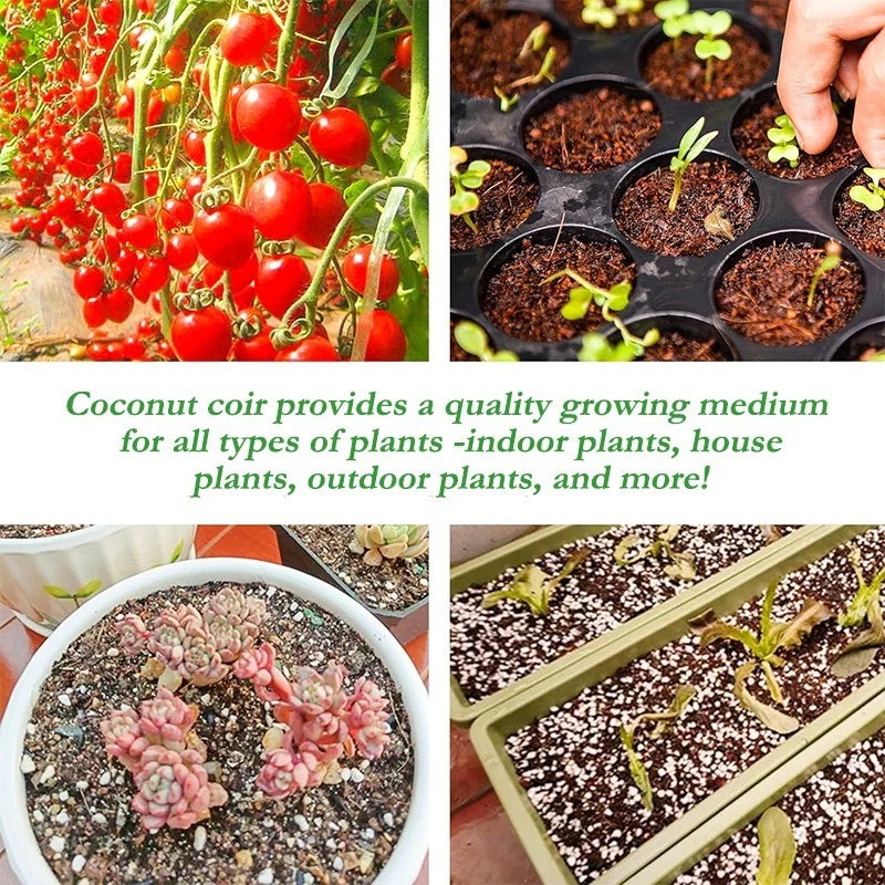 5 Pack Organic Compressed Coconut Fiber Bricks for Planting, Gardening, Potting