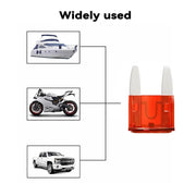 30-Pack 10 amp mini fuses, mini automotive blade fuses for cars, RVs, trucks, SUVs