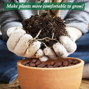 Plant expanded clay pebbles, suitable for indoor, outdoor and hydroponic growth