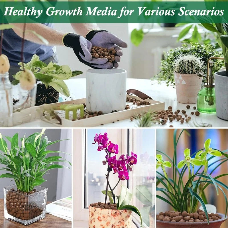 Plant expanded clay pebbles, suitable for indoor, outdoor and hydroponic growth