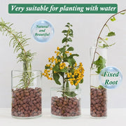 Plant expanded clay pebbles, suitable for indoor, outdoor and hydroponic growth