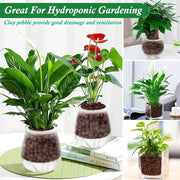Plant expanded clay pebbles, suitable for indoor, outdoor and hydroponic growth