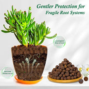 Plant expanded clay pebbles, suitable for indoor, outdoor and hydroponic growth
