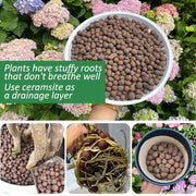 3 to 10 LBS LECA Expanded Clay pebbles - soil hydroponic horticultural grade