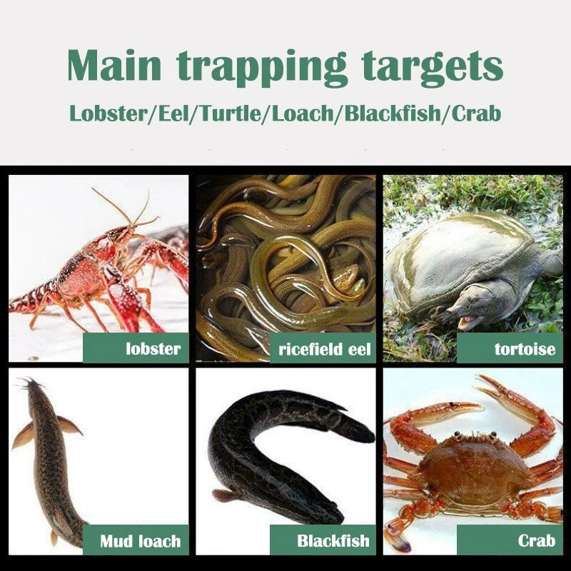 Fishing bait trap, portable accessories for crayfish nets and crabs, foldable