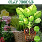 1-30 pounds of plant clay pebbles - Natural clay pebbles for indoor plants