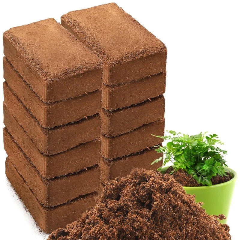 10-pack coir bricks 5x10x20cm | Organic coconut fiber planting medium
