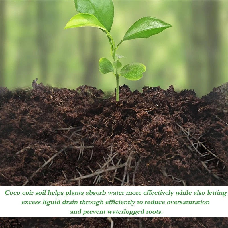 10-pack coir bricks 5x10x20cm | Organic coconut fiber planting medium