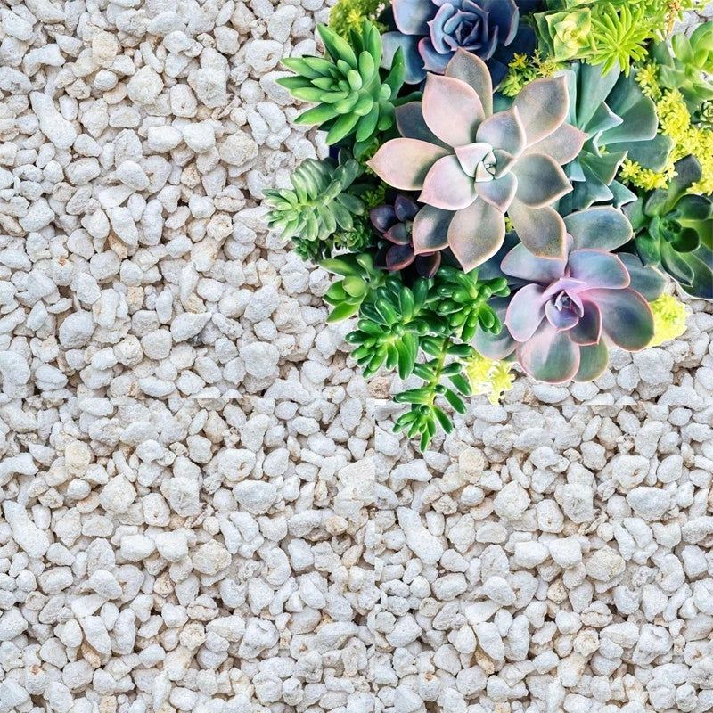 1 quart perlite, suitable for gardening, soil conditioner, and improves drainage