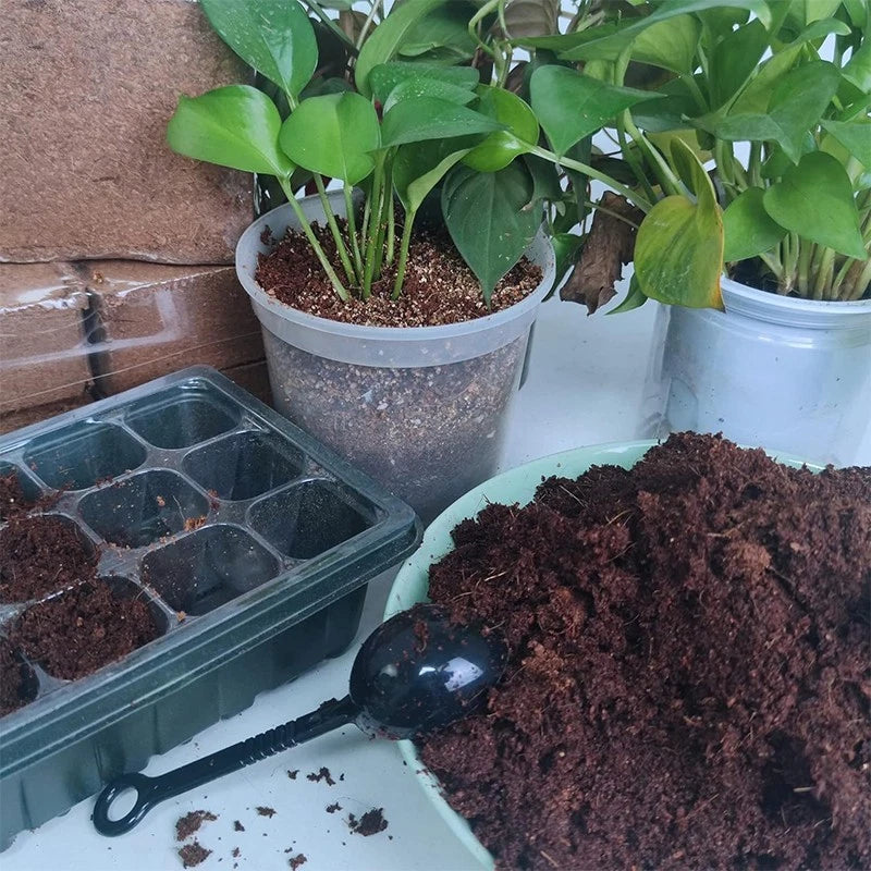 10-pack coir bricks 5x10x20cm | Organic coconut fiber planting medium