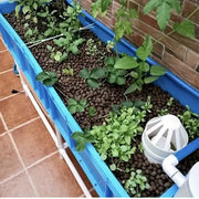 3 to 10 LBS LECA Expanded Clay pebbles - soil hydroponic horticultural grade