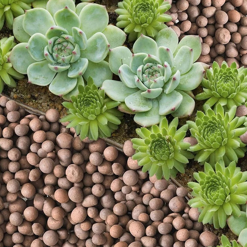 1-30 pounds of plant clay pebbles - Natural clay pebbles for indoor plants