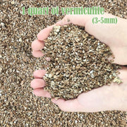 1-quart vermiculite soil conditioner: water retention, aeration, and drainage.