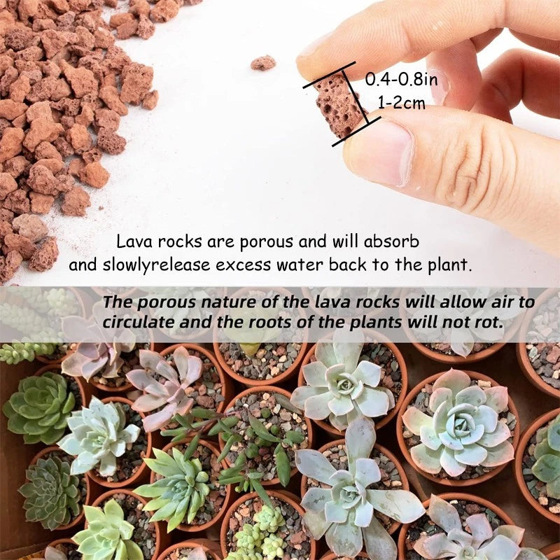 5-lb Bag of Red Volcanic Rock — 1–2 cm Crushed Volcanic Gravel for Potting Mixes