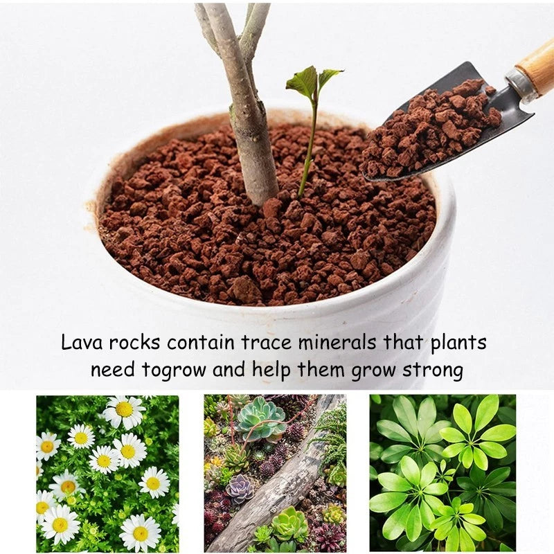 5-lb Bag of Red Volcanic Rock — 1–2 cm Crushed Volcanic Gravel for Potting Mixes